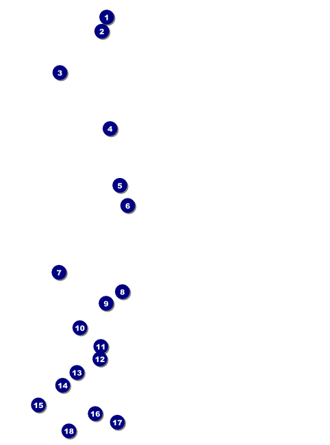 Golf Flyer Front Field Markers