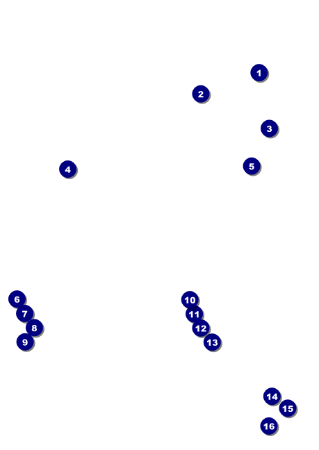 Paris Silver and Black Club Flyer Front Field Markers