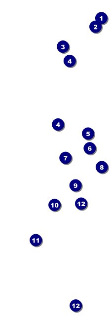 Ballet Dance Recital Event Ticket Front Field Markers