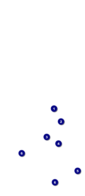 Ballet Dance Recital Hang Tag Front Field Markers