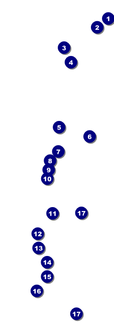 Ballet Dance Recital Raffle Ticket Front Field Markers