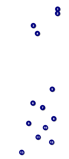 Ballet Dance Recital VIP Pass Front Field Markers