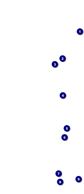 Enchanted Forest VIP Event Badge Large Front Field Markers