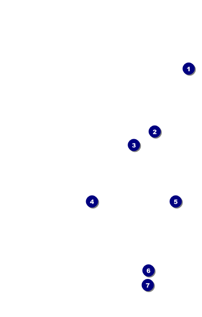 Enchanted Forest VIP Event Badge Medium Front Field Markers