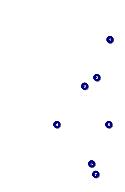 Enchanted Forest VIP Event Badge Small Front Field Markers