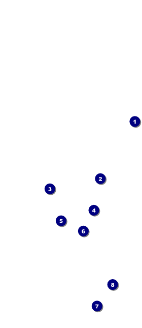 Enchanted Forest Hang Tag Front Field Markers