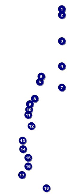 Enchanted Forest Raffle Ticket Front Field Markers