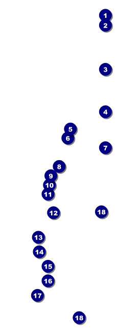 Enchanted Forest Raffle Ticket Front Field Markers