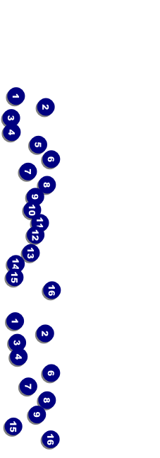 St. Louis Event Ticket Front Field Markers