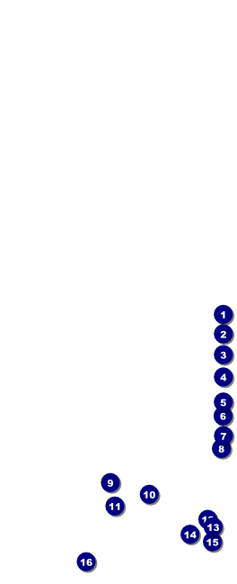 Champagne Bistro Table Tent w/ Serial Number Front Field Markers