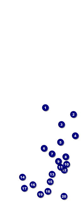 Gold Glitter Table Tent w/ Serial Number Front Field Markers