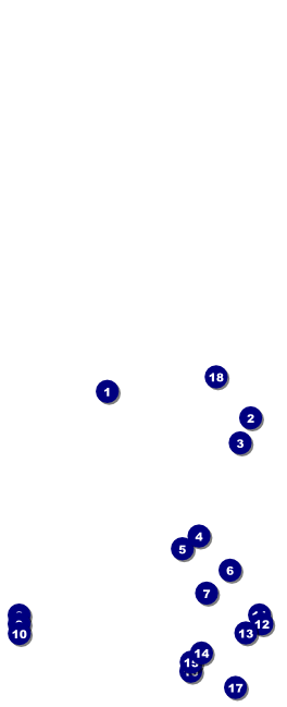 Masquerade Ball Table Tent w/ Serial Number Front Field Markers