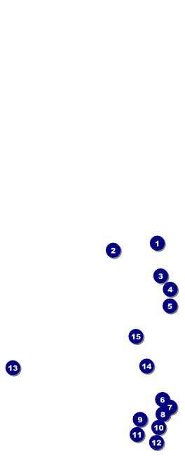 Prism Tree Table Tent w/ Serial Number Front Field Markers