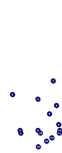 Star Theme Table Tent w/ Serial Number Front Field Markers