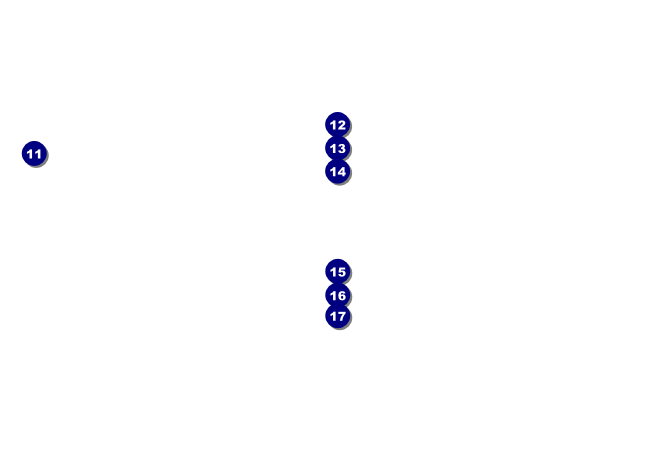 Glittering Celebration Postcard Mailer Back Field Markers