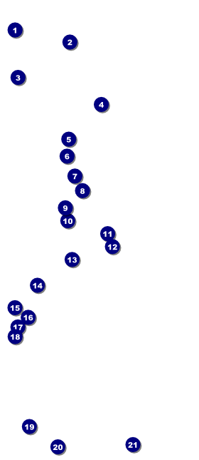 Holiday Gala VIP Pass Front Field Markers