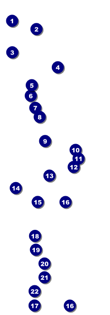 Holiday Gala Raffle Ticket Front Field Markers