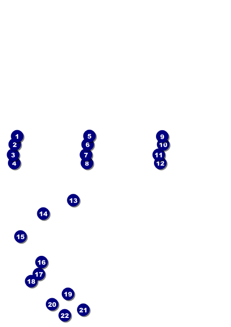 Triathlon Club Flyer Front Field Markers