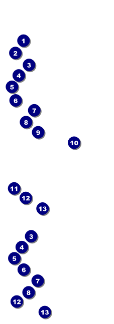 Red, White, and Blue Stars ticket Front Field Markers