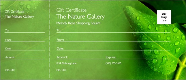 Raindrops Gift Certificate Product Front