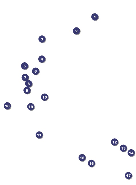 LGBT Pride Week Invitation Front Field Markers