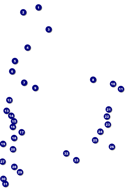 MMA Main Event Blue Poster Front Field Markers