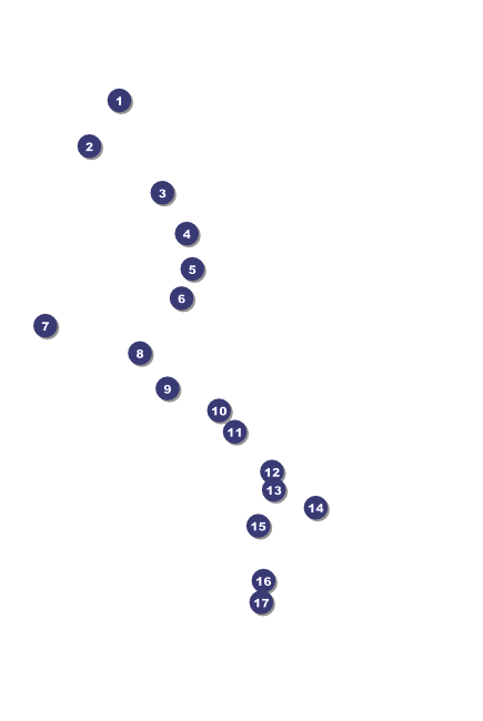 Valentine's Day Poster 003 Front Field Markers