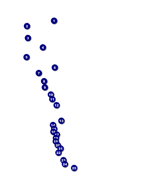 St. Patrick's Day Flyer 001 Front Field Markers