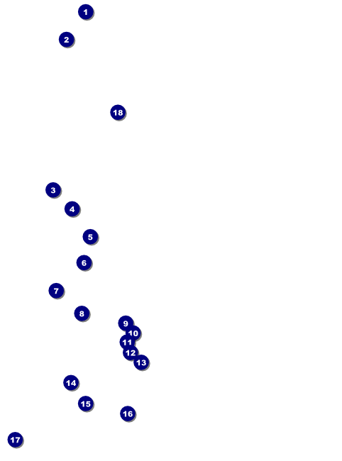 Sports Flyer 001 in Green and Black Front Field Markers