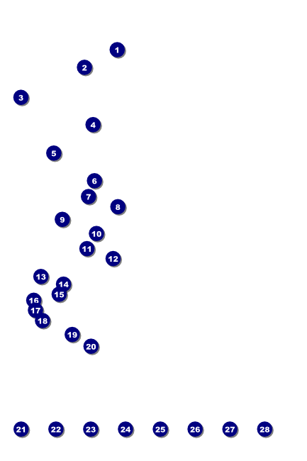 Dallas Poster Front Field Markers