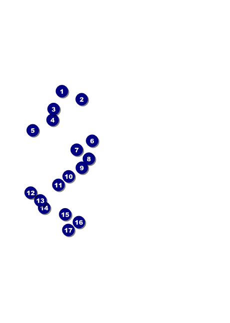 South Carolina Postcard Front Field Markers