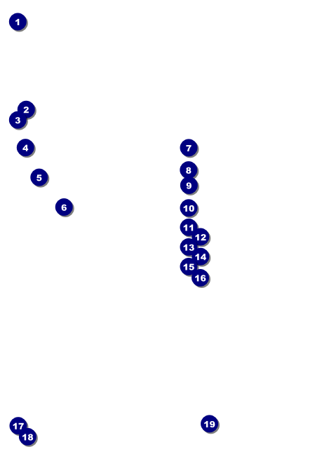 Chapel Hill Postcard Front Field Markers