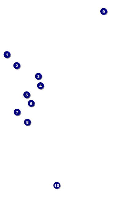 Montana Drink Ticket Front Field Markers
