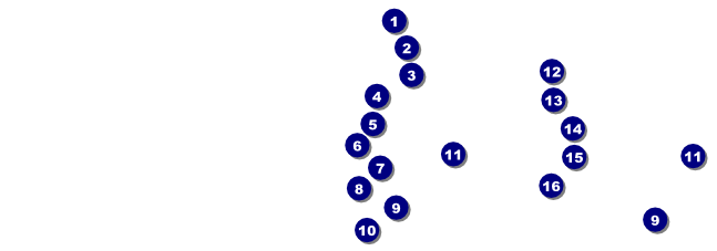 Americana Raffle Ticket Front Field Markers