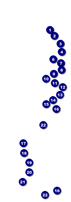 Dallas Raffle Ticket Front Field Markers