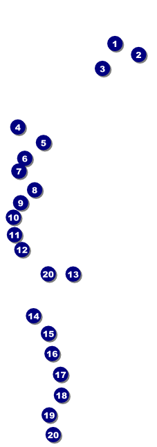 Fishing and Hunting Green Camo Expo Raffle Ticket Front Field Markers