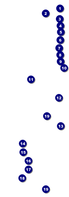 El Paso Raffle Ticket Front Field Markers
