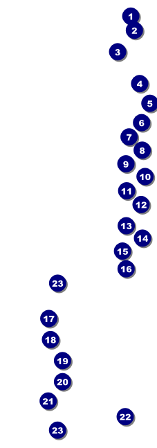 Ballet Raffle Ticket Front Field Markers