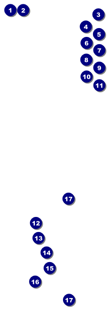 Toronto Raffle Ticket with stub (Black) Front Field Markers