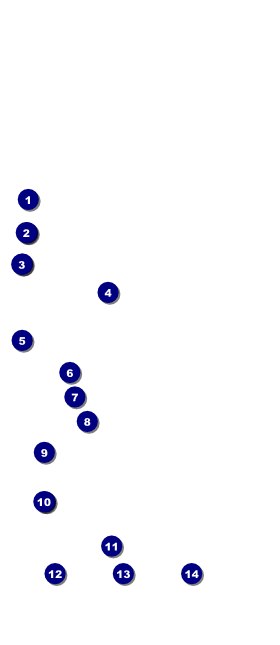 Swimming VIP Pass Front Field Markers