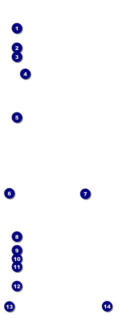Austin Star VIP Pass Front Field Markers