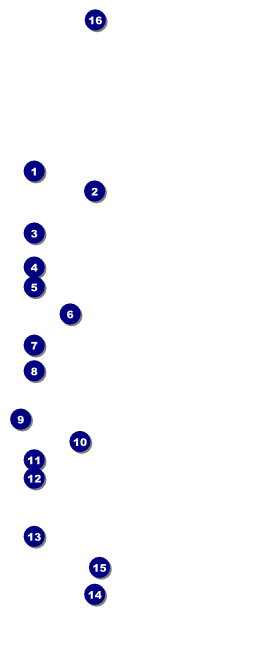 Las Vegas Lucky VIP Pass Front Field Markers