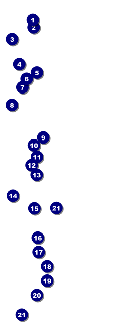 Red Tent Raffle Ticket Front Field Markers