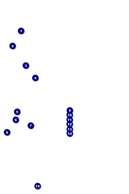 Pirate Ship Poster Front Field Markers