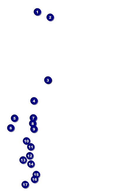 Lacrosse Postcard Front Field Markers