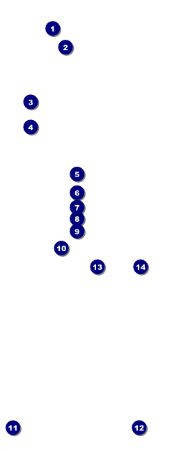 Martial Arts VIP Pass Front Field Markers