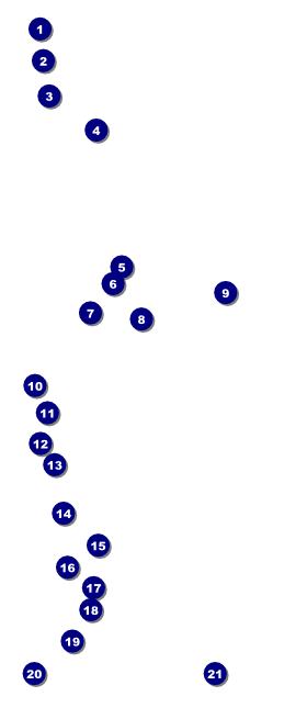 Gun Show VIP Pass Front Field Markers