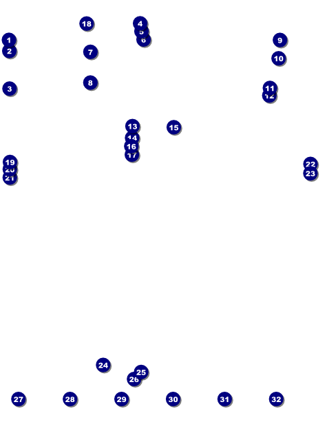 Goth Rave Logo Flyer Front Field Markers