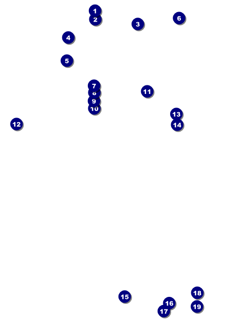 Goth Rave Invitation Front Field Markers