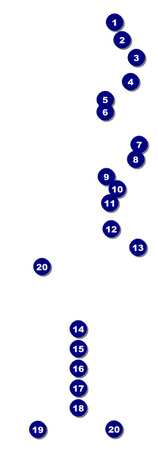 Pancake Breakfast Raffle Ticket Front Field Markers